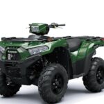 2024 Kawasaki Brute Force 750